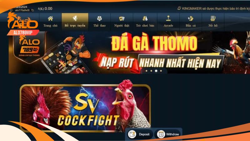 Xem Lịch Thi Đấu CPC1 Chuẩn Xác Tại Alo789